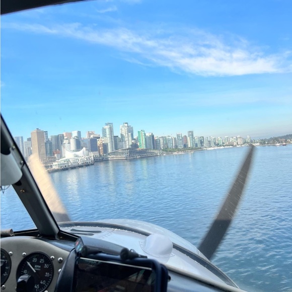 Babaton bomber jacket - Picture 5 of 8